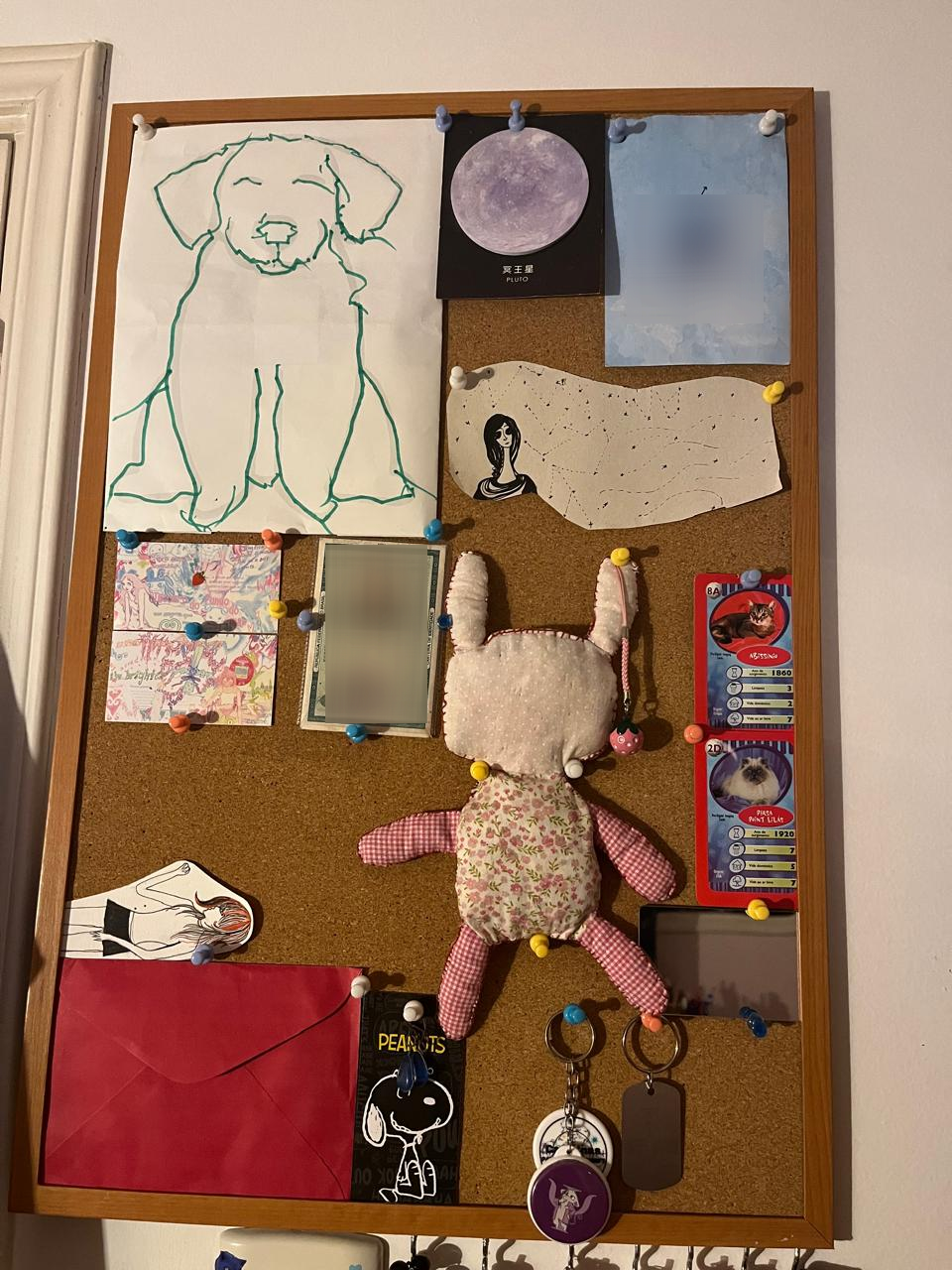 mural de cortiça com diversos papéis e um ursinho feito por mim